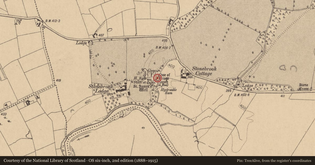Ordnance Survey six-inch map, 2nd edition (1888–1915) covering the location of Cross, Coghlanstown West, County Kildare, with a pin at the register's coordinates