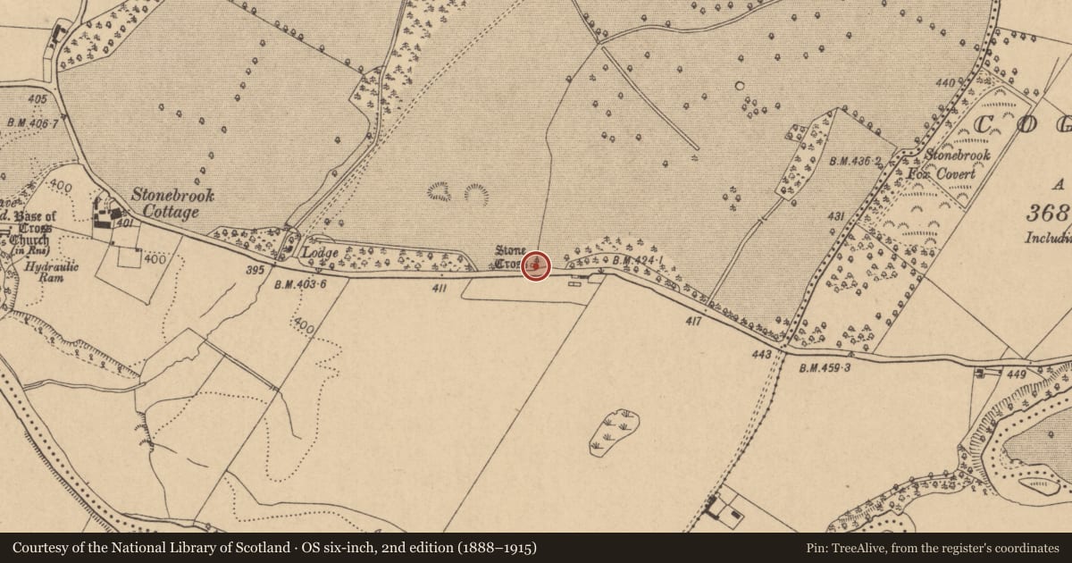 Ordnance Survey six-inch map, 2nd edition (1888–1915) covering the location of Cross, Coghlanstown West, County Kildare, with a pin at the register's coordinates