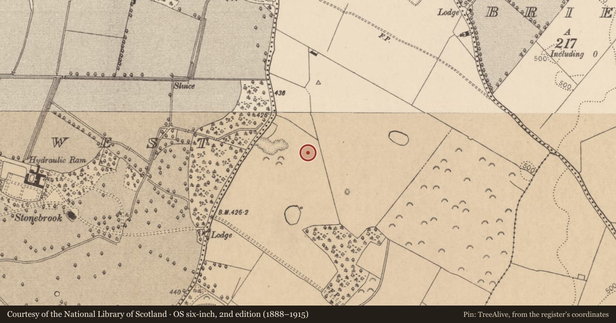 Ordnance Survey six-inch map, 2nd edition (1888–1915) covering the location of Burial, Coghlanstown East, County Kildare, with a pin at the register's coordinates