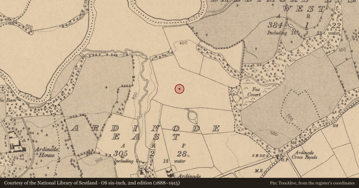 Ordnance Survey six-inch map, 2nd edition (1888–1915) covering the location of Enclosure, Ardinode East, County Kildare, with a pin at the register's coordinates