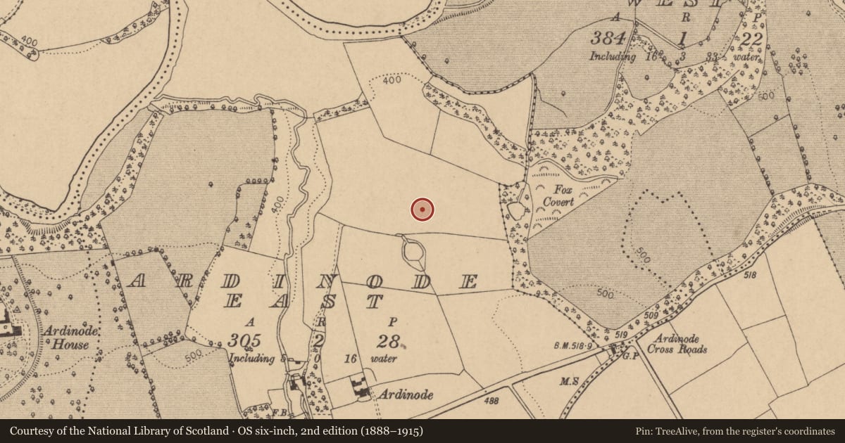 Ordnance Survey six-inch map, 2nd edition (1888–1915) covering the location of Enclosure, Ardinode East, County Kildare, with a pin at the register's coordinates
