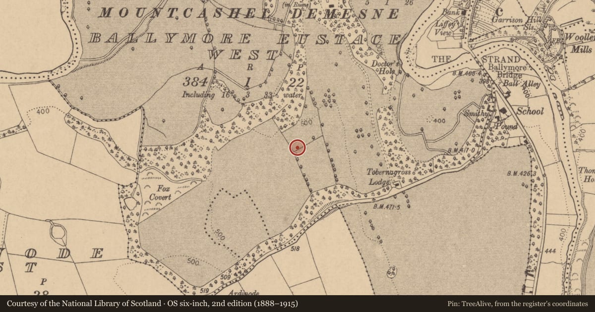 Ordnance Survey six-inch map, 2nd edition (1888–1915) covering the location of Bullaun stone, Ballymore Eustace West, County Kildare, with a pin at the register's coordinates