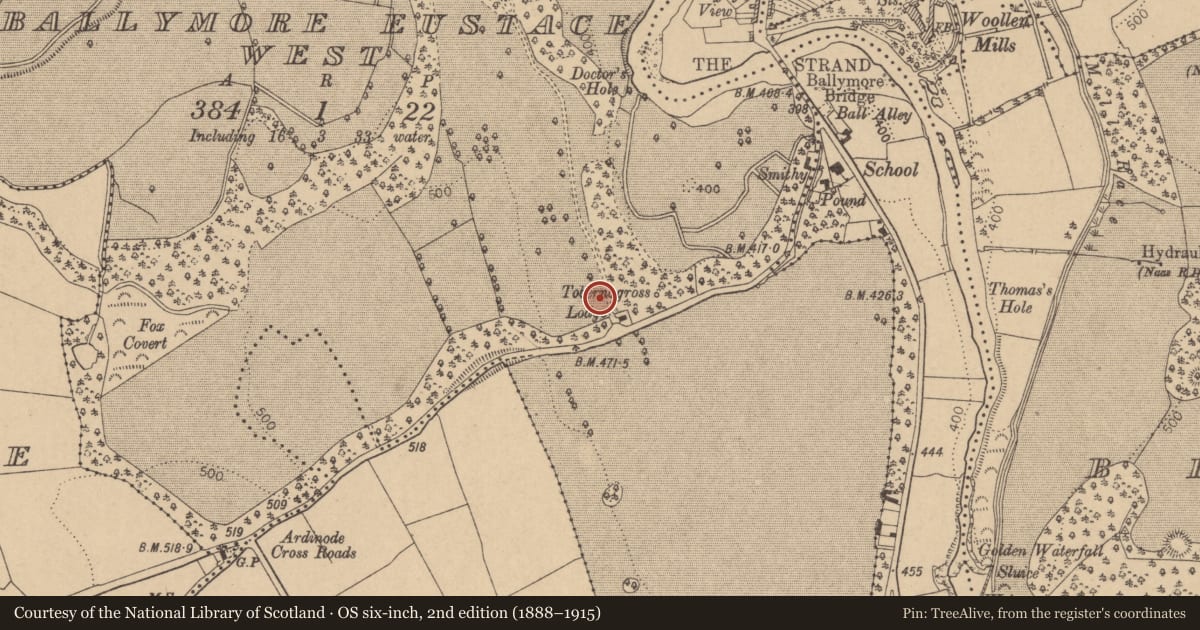 Ordnance Survey six-inch map, 2nd edition (1888–1915) covering the location of Bullaun stone (present location), Ballymore Eustace West, County Kildare, with a pin at the register's coordinates