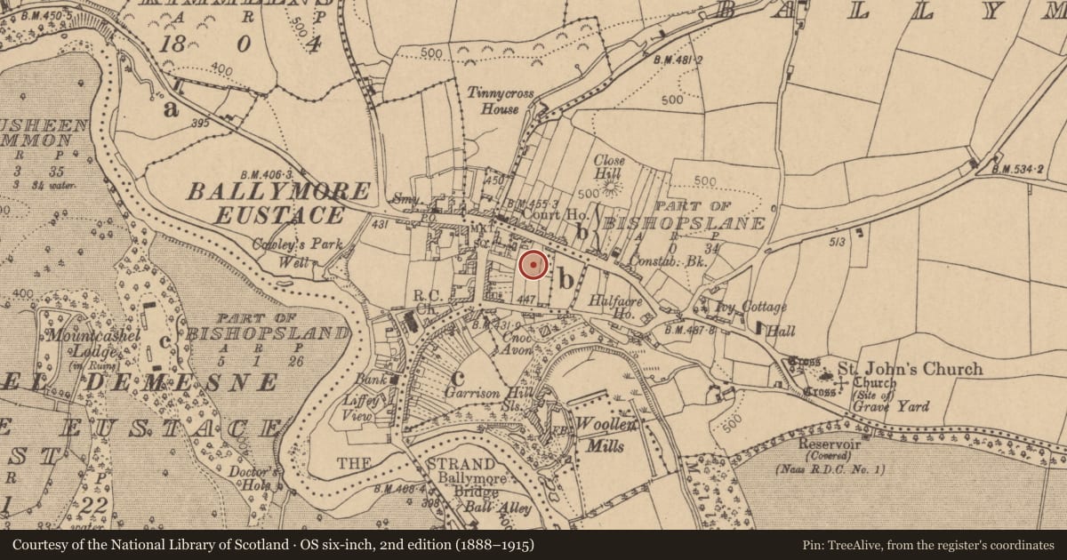 Ordnance Survey six-inch map, 2nd edition (1888–1915) covering the location of Historic town, County Kildare, with a pin at the register's coordinates