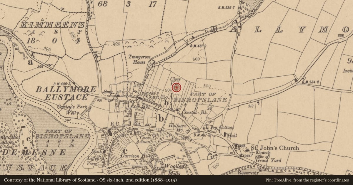 Ordnance Survey six-inch map, 2nd edition (1888–1915) covering the location of Castle - motte, Ballymore Eustace East, County Kildare, with a pin at the register's coordinates
