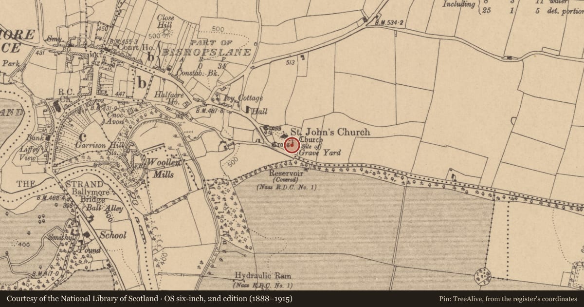 Ordnance Survey six-inch map, 2nd edition (1888–1915) covering the location of Cross - High cross, Ballymore Eustace East, County Kildare, with a pin at the register's coordinates
