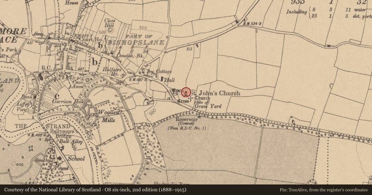 Ordnance Survey six-inch map, 2nd edition (1888–1915) covering the location of Cross, Ballymore Eustace East, County Kildare, with a pin at the register's coordinates