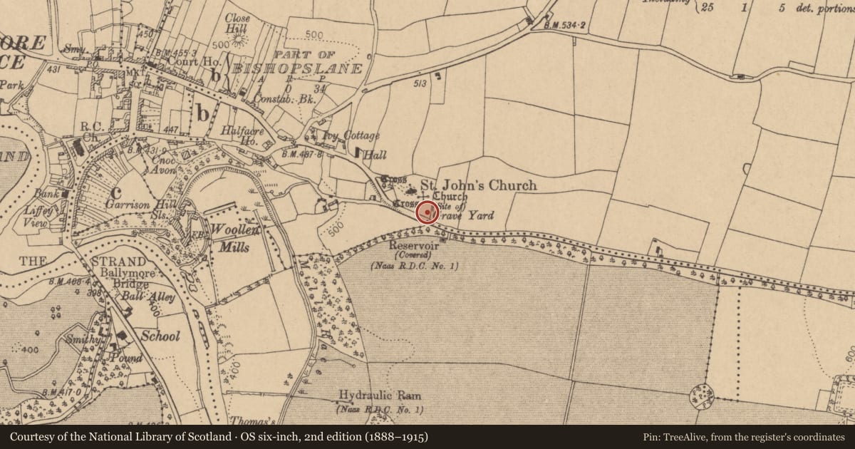 Ordnance Survey six-inch map, 2nd edition (1888–1915) covering the location of Graveslab, Ballymore Eustace East, County Kildare, with a pin at the register's coordinates