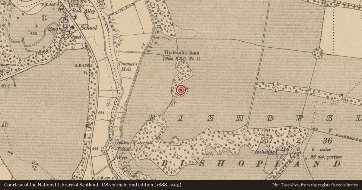 Ordnance Survey six-inch map, 2nd edition (1888–1915) covering the location of Mound, Bishopsland, County Kildare, with a pin at the register's coordinates