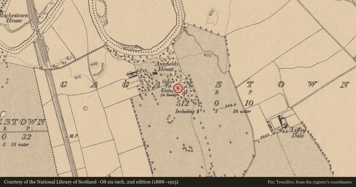 Ordnance Survey six-inch map, 2nd edition (1888–1915) covering the location of Graveyard, Gaganstown, County Kildare, with a pin at the register's coordinates