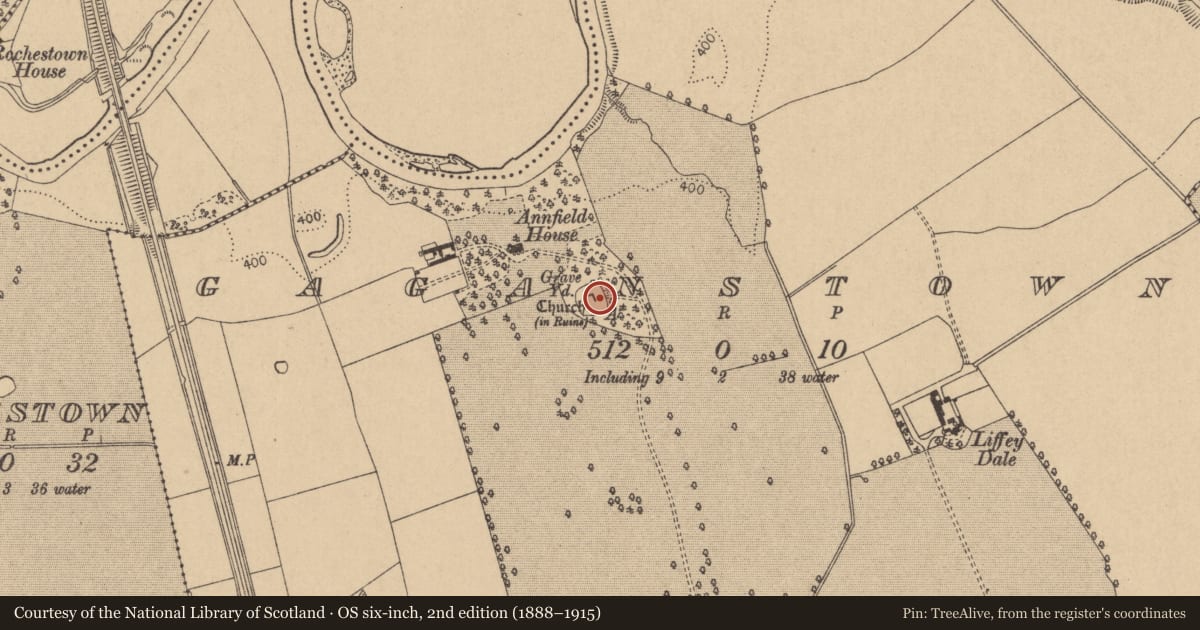 Ordnance Survey six-inch map, 2nd edition (1888–1915) covering the location of Graveslab, Gaganstown, County Kildare, with a pin at the register's coordinates