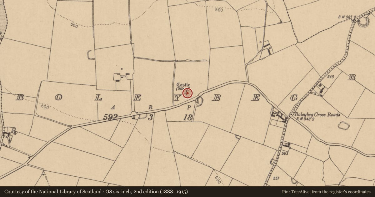 Ordnance Survey six-inch map, 2nd edition (1888–1915) covering the location of Castle - unclassified, Boleybeg, County Kildare, with a pin at the register's coordinates