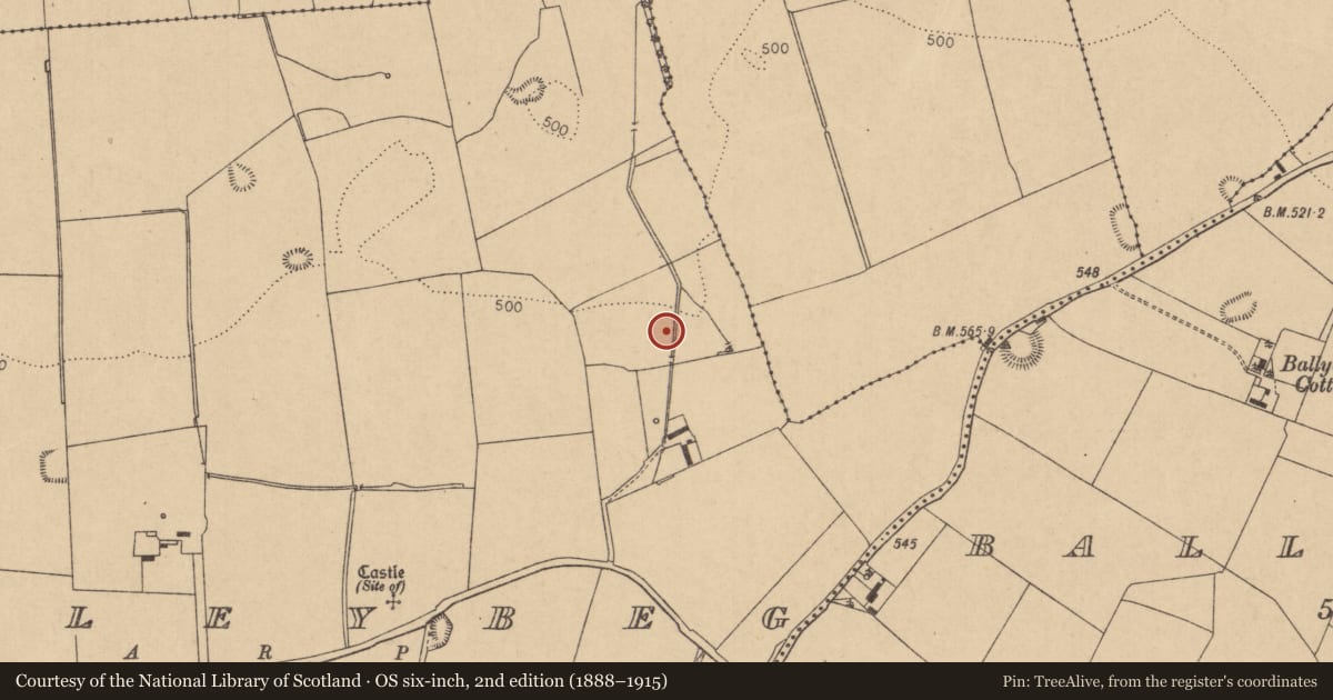 Ordnance Survey six-inch map, 2nd edition (1888–1915) covering the location of Fulacht fia, Boleybeg, County Kildare, with a pin at the register's coordinates