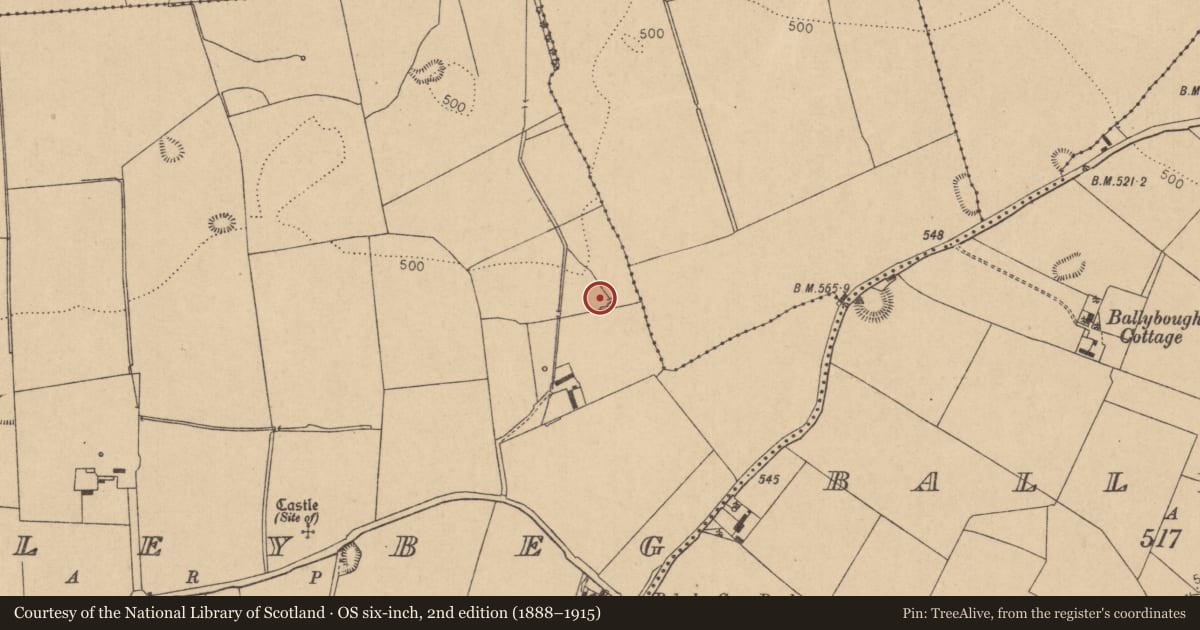 Ordnance Survey six-inch map, 2nd edition (1888–1915) covering the location of Fulacht fia, Boleybeg, County Kildare, with a pin at the register's coordinates