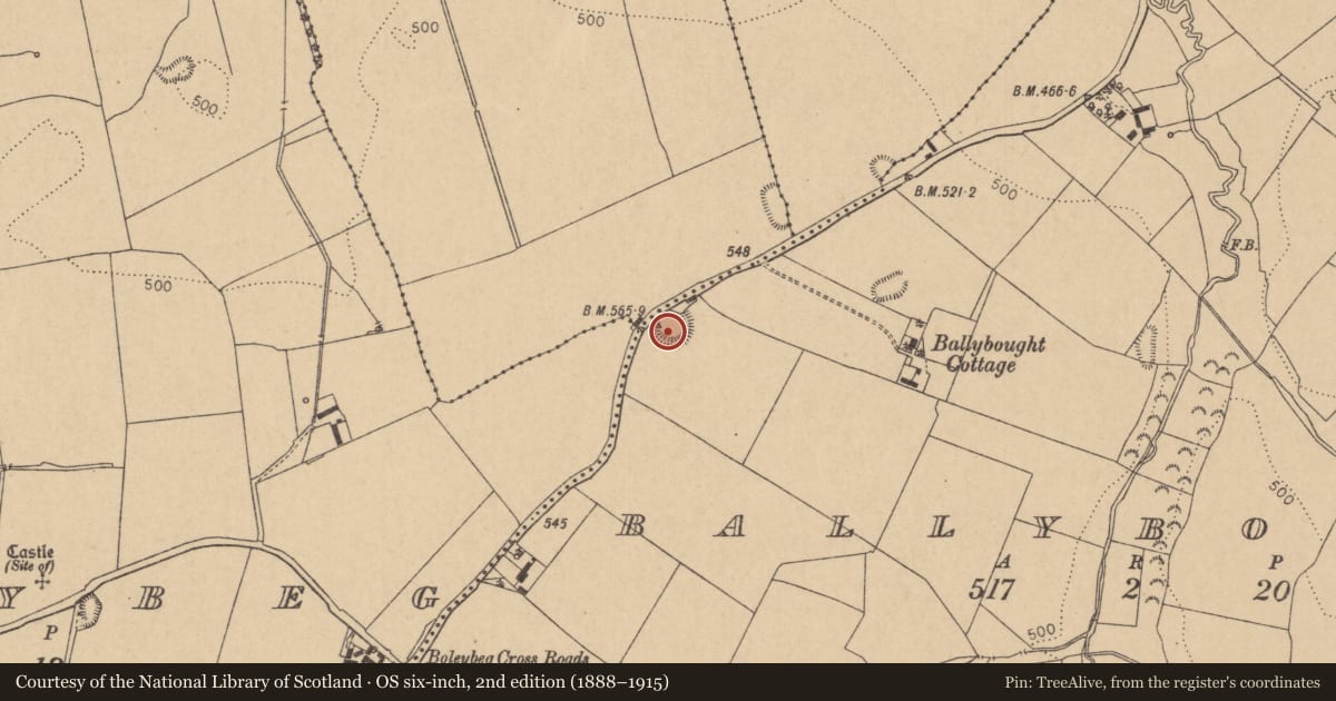 Ordnance Survey six-inch map, 2nd edition (1888–1915) covering the location of Barrow - unclassified, Ballybought, County Kildare, with a pin at the register's coordinates