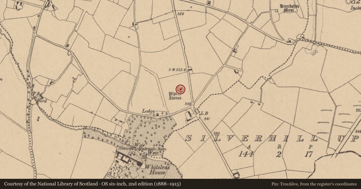 Ordnance Survey six-inch map, 2nd edition (1888–1915) covering the location of Stone circle, Broadleas Commons, County Kildare, with a pin at the register's coordinates