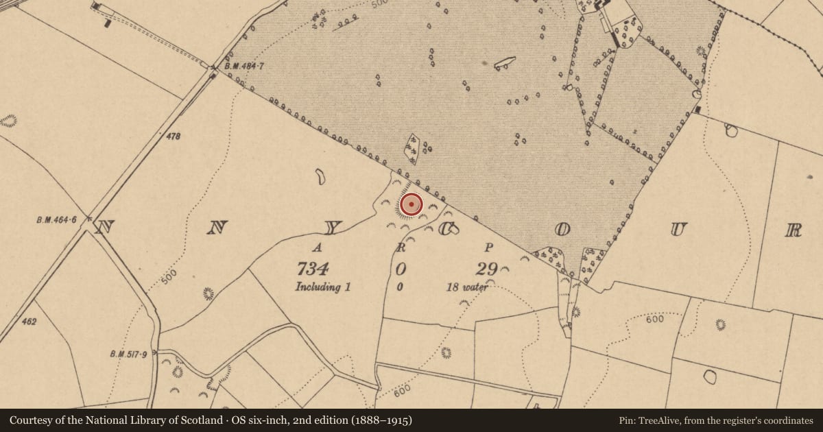 Ordnance Survey six-inch map, 2nd edition (1888–1915) covering the location of Ringfort - rath, Kennycourt, County Kildare, with a pin at the register's coordinates