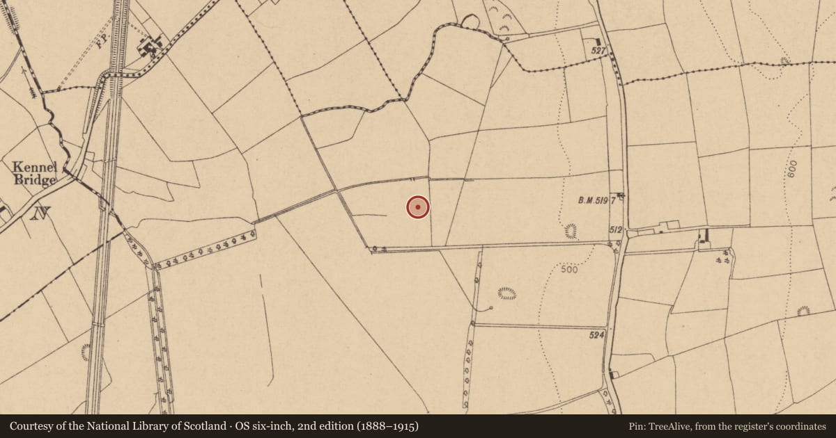 Ordnance Survey six-inch map, 2nd edition (1888–1915) covering the location of Fulacht fia, Grangebeg, County Kildare, with a pin at the register's coordinates