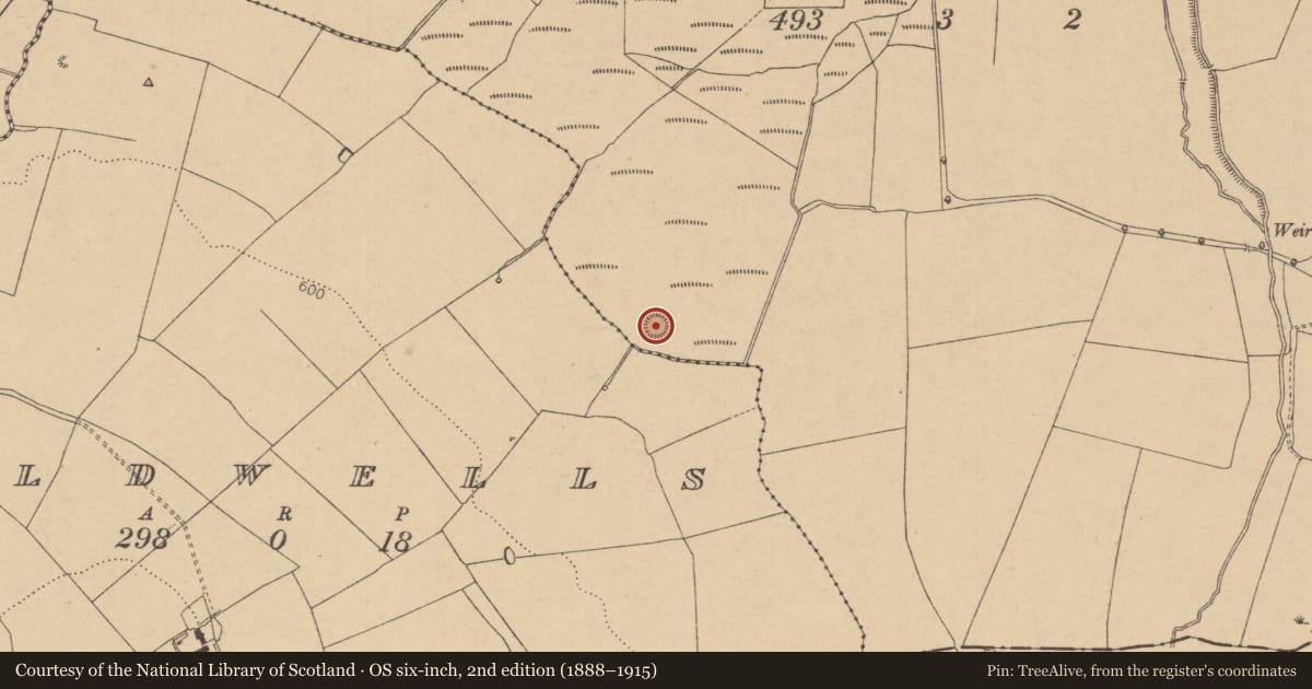 Ordnance Survey six-inch map, 2nd edition (1888–1915) covering the location of Ringfort - rath, Alliganstown, County Kildare, with a pin at the register's coordinates