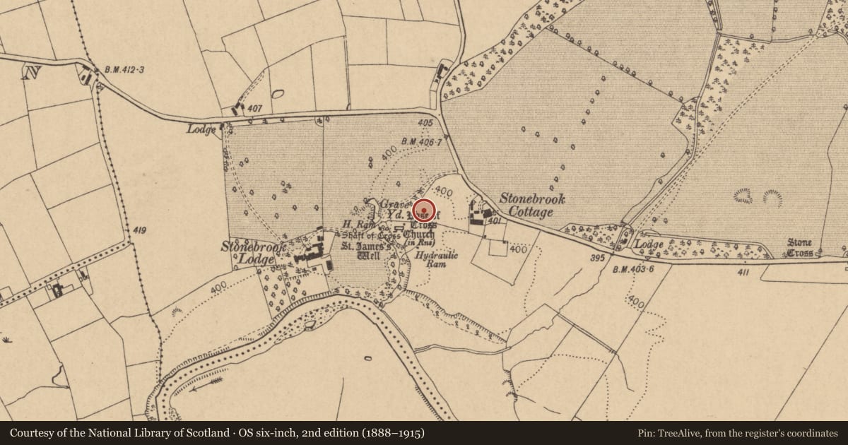 Ordnance Survey six-inch map, 2nd edition (1888–1915) covering the location of Castle - unclassified, Coghlanstown West, County Kildare, with a pin at the register's coordinates