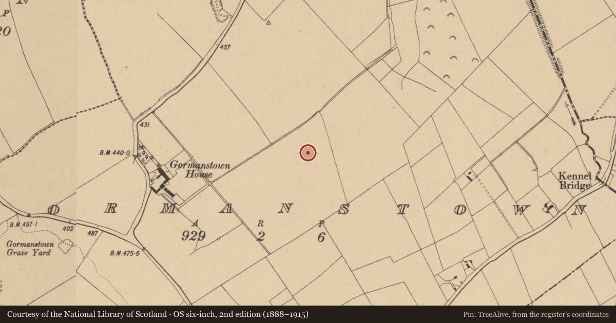 Ordnance Survey six-inch map, 2nd edition (1888–1915) covering the location of Enclosure, Gormanstown, County Kildare, with a pin at the register's coordinates