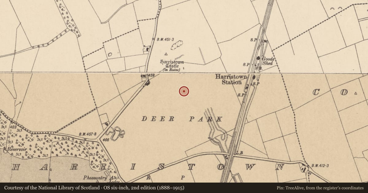 Ordnance Survey six-inch map, 2nd edition (1888–1915) covering the location of Settlement deserted - medieval, Harristown, County Kildare, with a pin at the register's coordinates