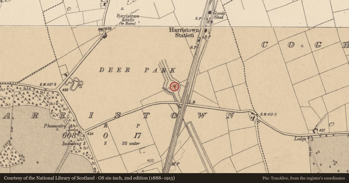 Ordnance Survey six-inch map, 2nd edition (1888–1915) covering the location of Designed landscape - formal garden, Harristown, County Kildare, with a pin at the register's coordinates
