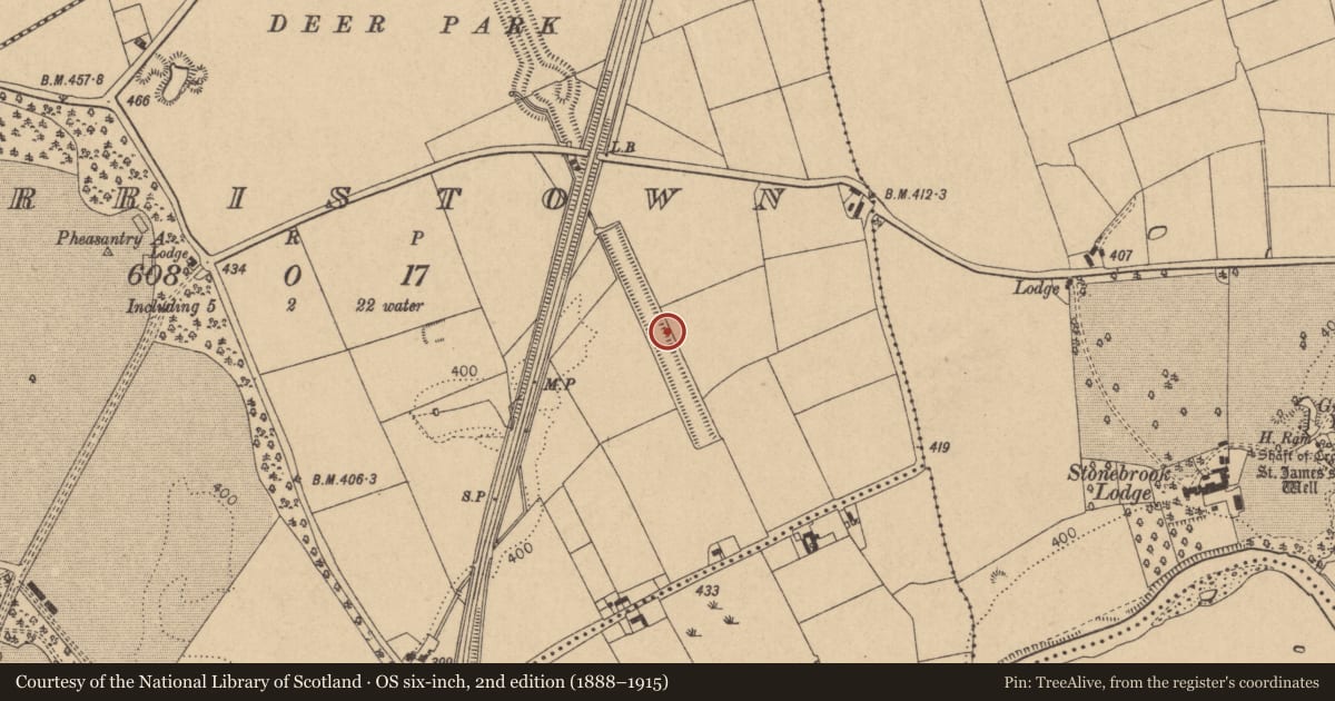 Ordnance Survey six-inch map, 2nd edition (1888–1915) covering the location of Designed landscape - ornamental canal, Harristown, County Kildare, with a pin at the register's coordinates