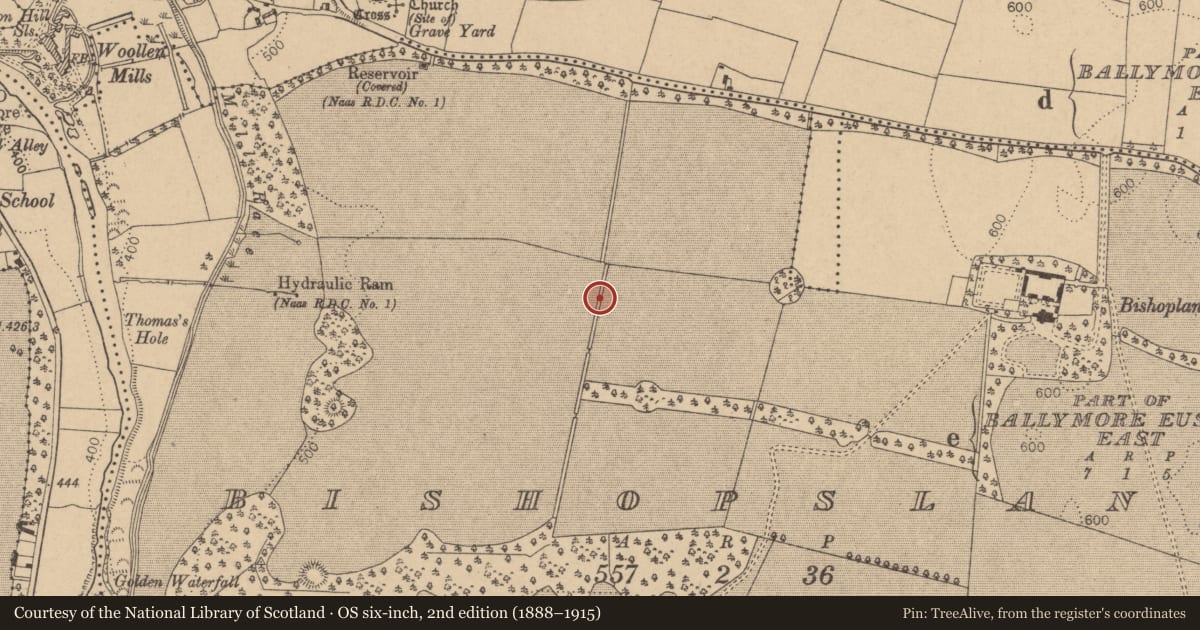 Ordnance Survey six-inch map, 2nd edition (1888–1915) covering the location of Linear earthwork, Bishopsland, County Kildare, with a pin at the register's coordinates