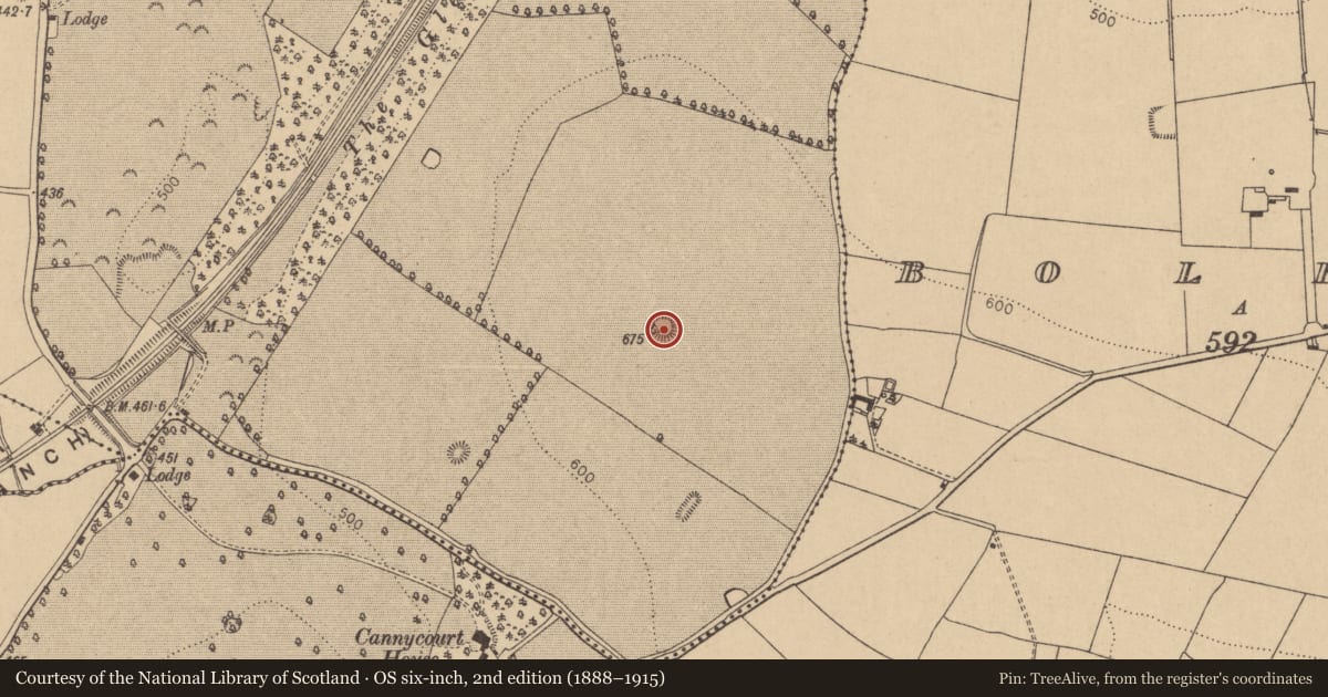 Ordnance Survey six-inch map, 2nd edition (1888–1915) covering the location of Mound, Moorhill, County Kildare, with a pin at the register's coordinates