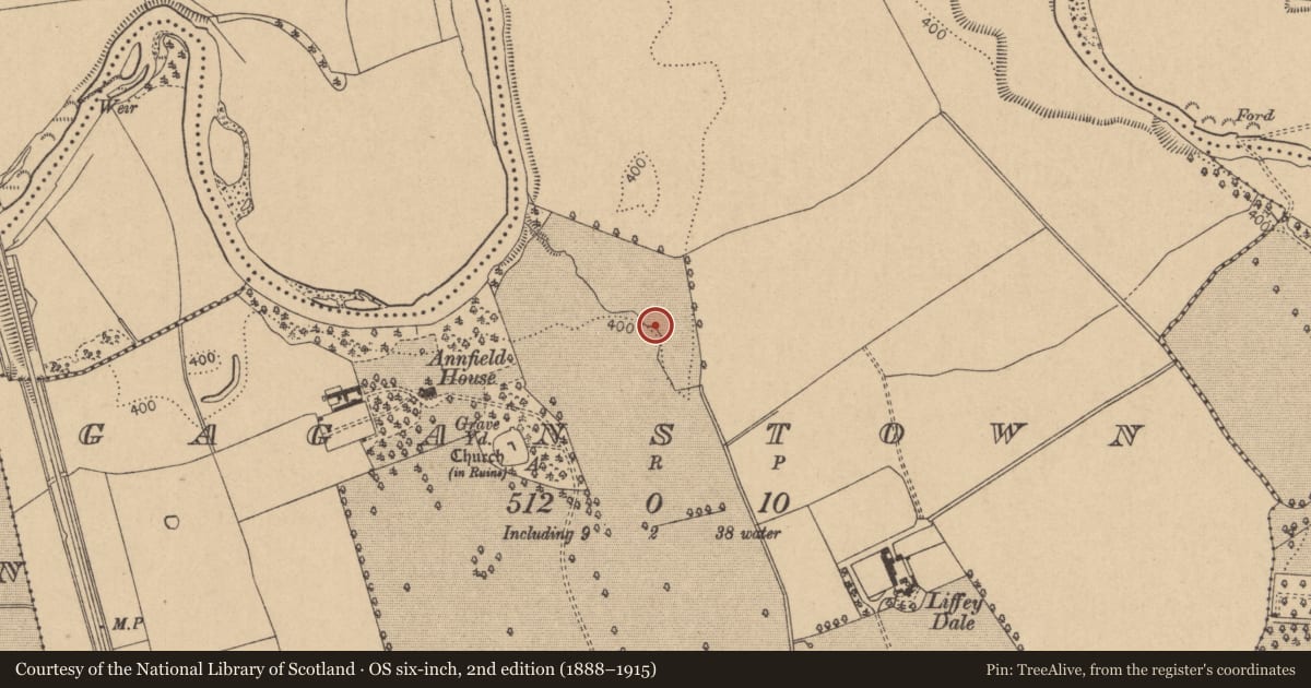 Ordnance Survey six-inch map, 2nd edition (1888–1915) covering the location of Hearth, Gaganstown, County Kildare, with a pin at the register's coordinates