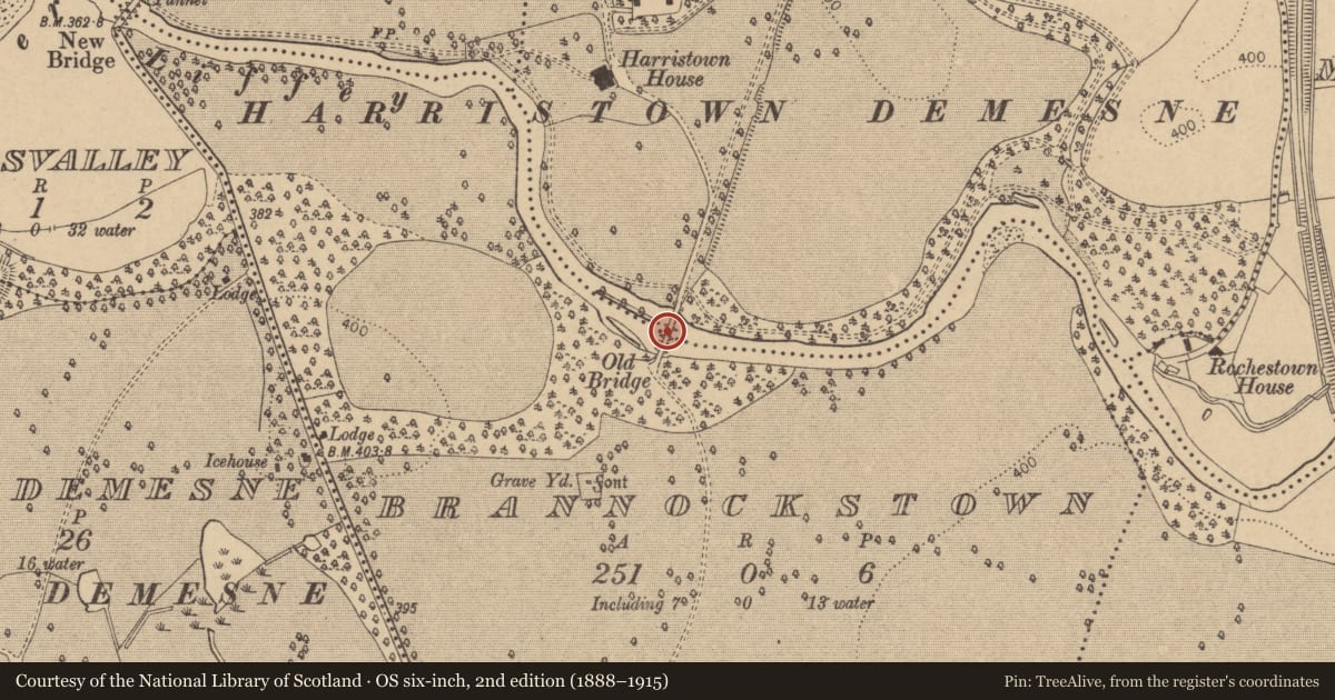 Ordnance Survey six-inch map, 2nd edition (1888–1915) covering the location of Bridge, Harristown, Brannockstown, County Kildare, with a pin at the register's coordinates