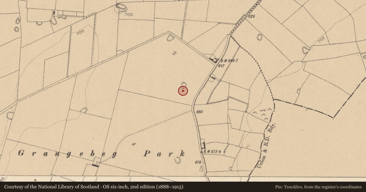 Ordnance Survey six-inch map, 2nd edition (1888–1915) covering the location of Barrow - unclassified, Grangebeg, County Kildare, with a pin at the register's coordinates