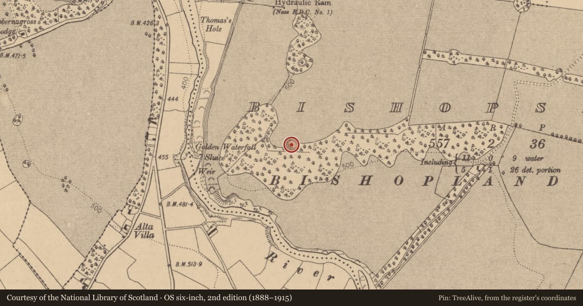 Ordnance Survey six-inch map, 2nd edition (1888–1915) covering the location of Barrow - bowl-barrow, Bishopsland, County Kildare, with a pin at the register's coordinates