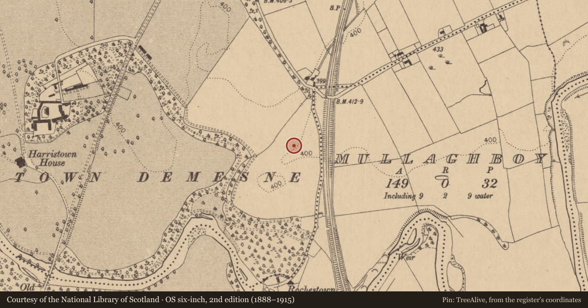 Ordnance Survey six-inch map, 2nd edition (1888–1915) covering the location of Enclosure - large enclosure, Harristown, County Kildare, with a pin at the register's coordinates