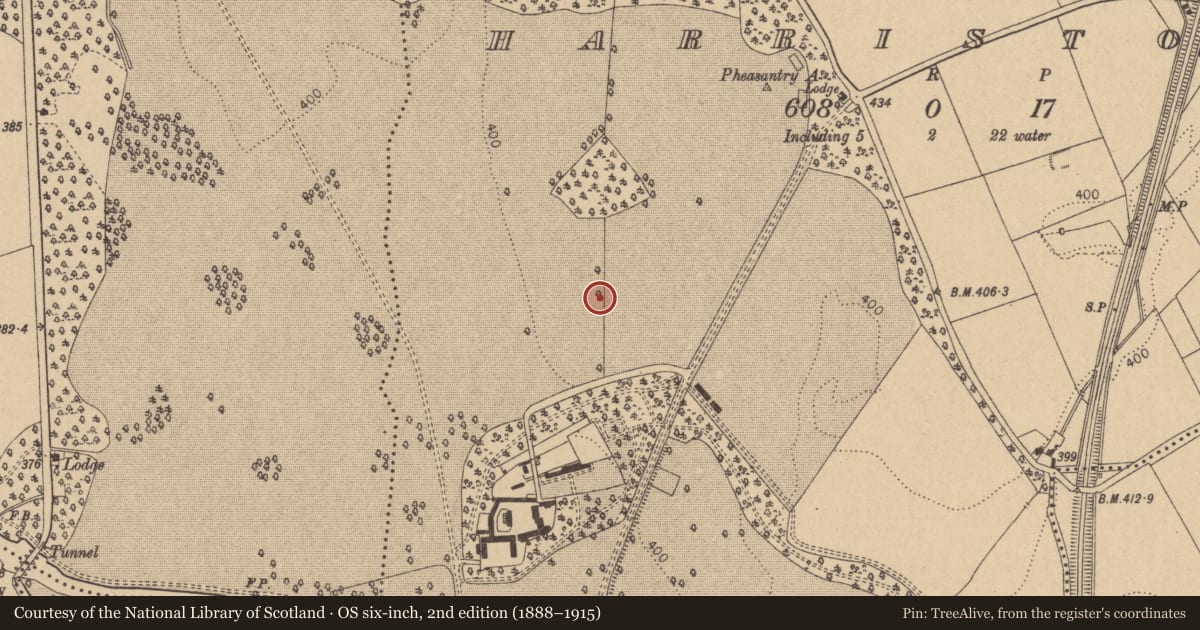Ordnance Survey six-inch map, 2nd edition (1888–1915) covering the location of Ring-ditch, Harristown, County Kildare, with a pin at the register's coordinates