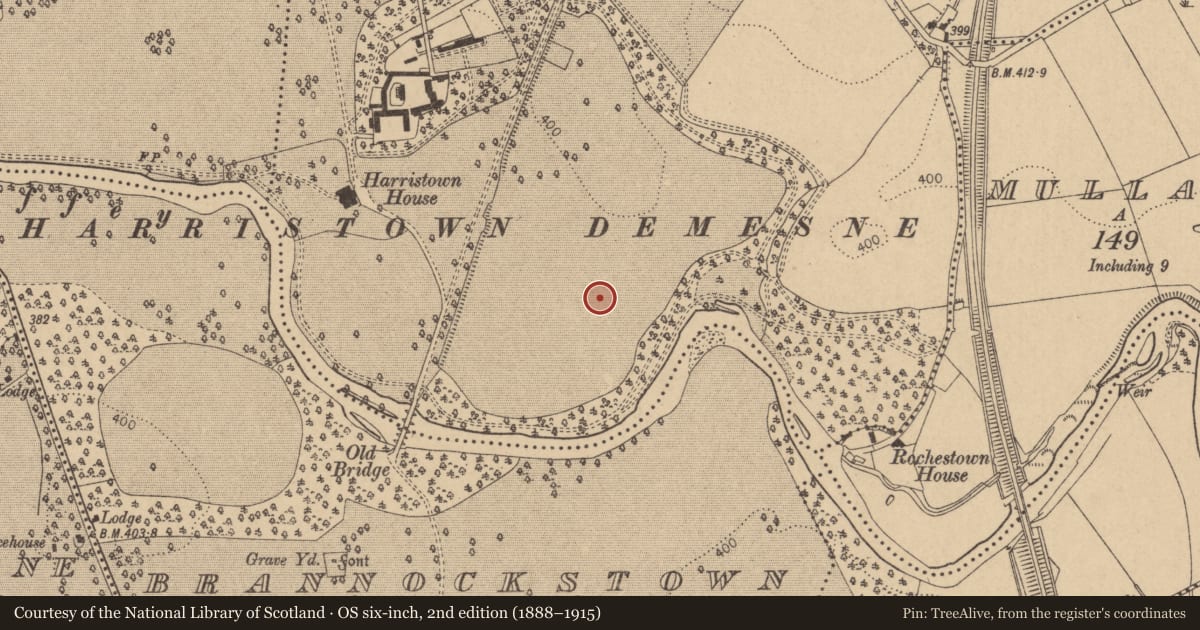 Ordnance Survey six-inch map, 2nd edition (1888–1915) covering the location of Enclosure, Harristown, County Kildare, with a pin at the register's coordinates