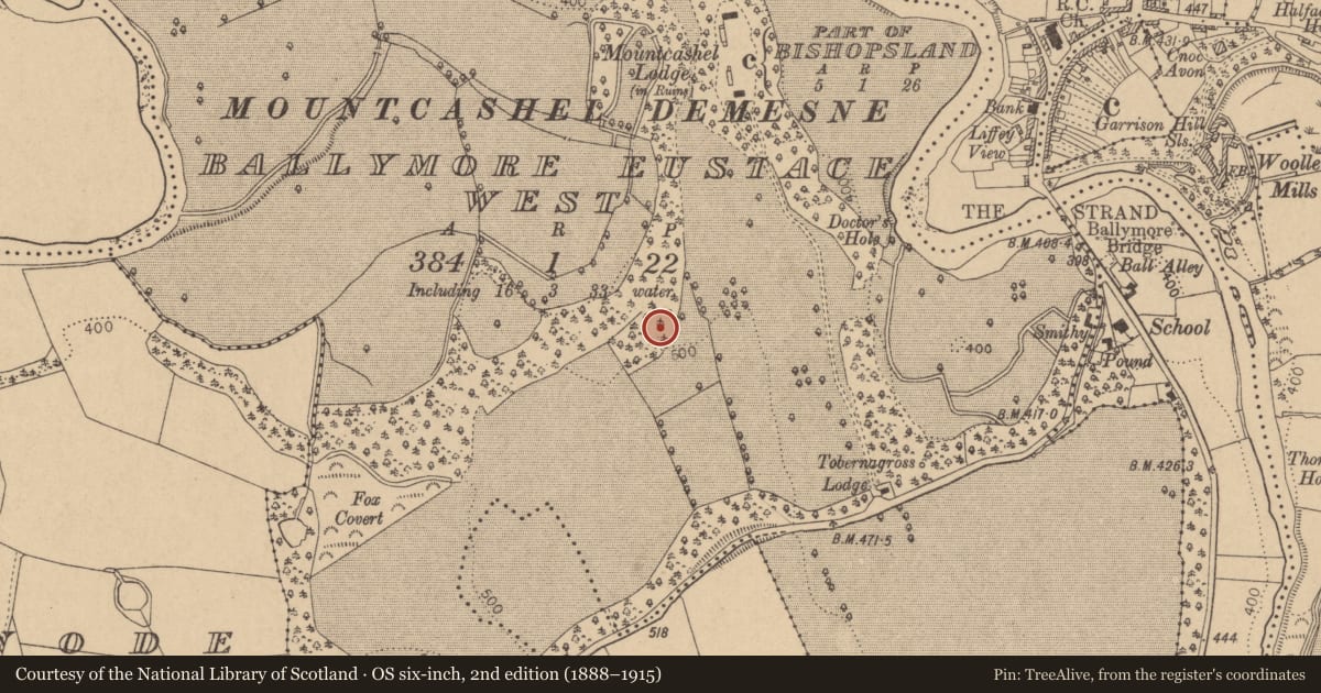Ordnance Survey six-inch map, 2nd edition (1888–1915) covering the location of Barrow - unclassified, Ballymore Eustace West, County Kildare, with a pin at the register's coordinates