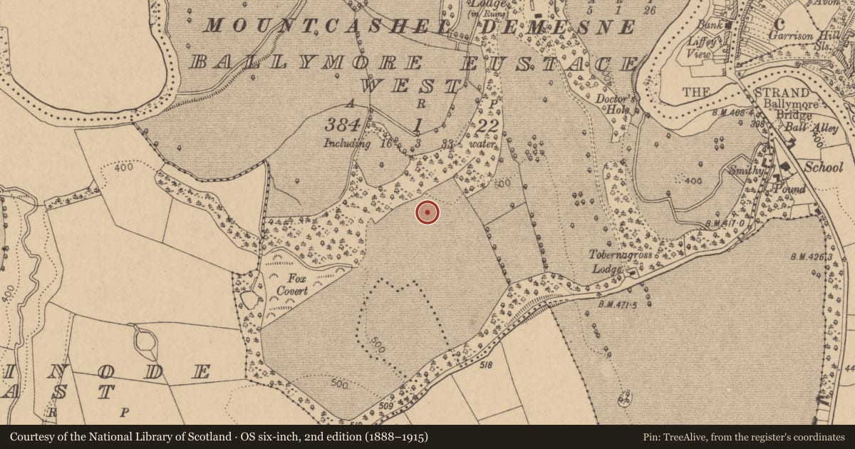 Ordnance Survey six-inch map, 2nd edition (1888–1915) covering the location of Enclosure, Ballymore Eustace West, County Kildare, with a pin at the register's coordinates