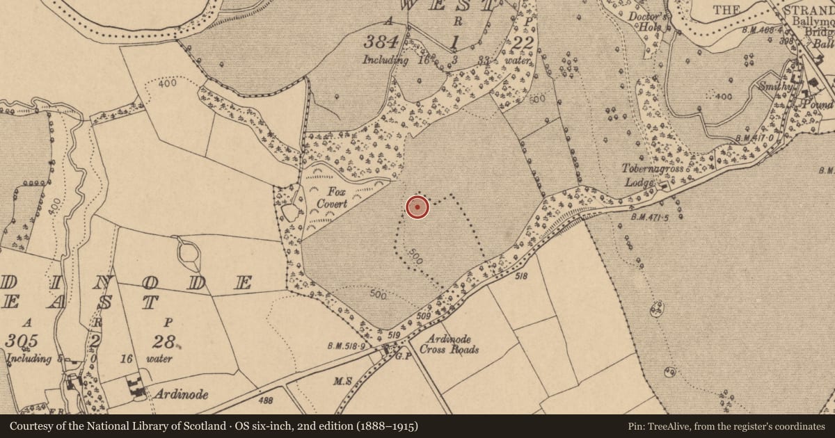 Ordnance Survey six-inch map, 2nd edition (1888–1915) covering the location of Barrow - ditch barrow, Longstone, County Kildare, with a pin at the register's coordinates
