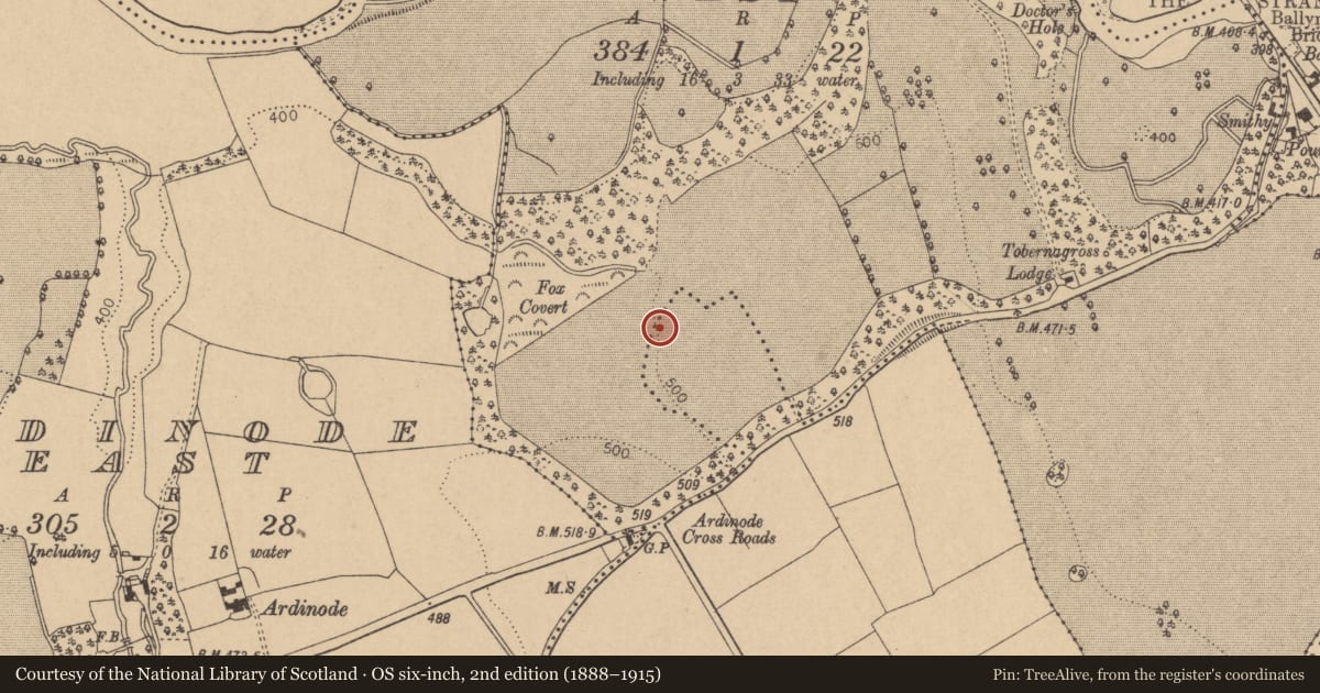 Ordnance Survey six-inch map, 2nd edition (1888–1915) covering the location of Barrow - ditch barrow, Longstone, County Kildare, with a pin at the register's coordinates