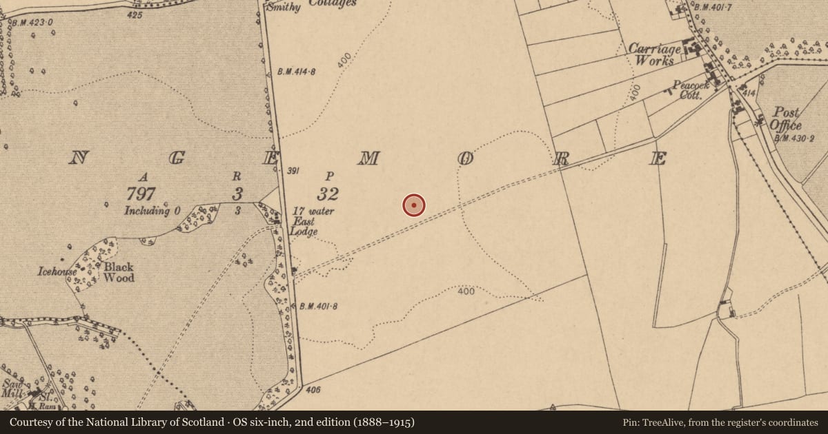 Ordnance Survey six-inch map, 2nd edition (1888–1915) covering the location of Ring-ditch, Grangemore, County Kildare, with a pin at the register's coordinates