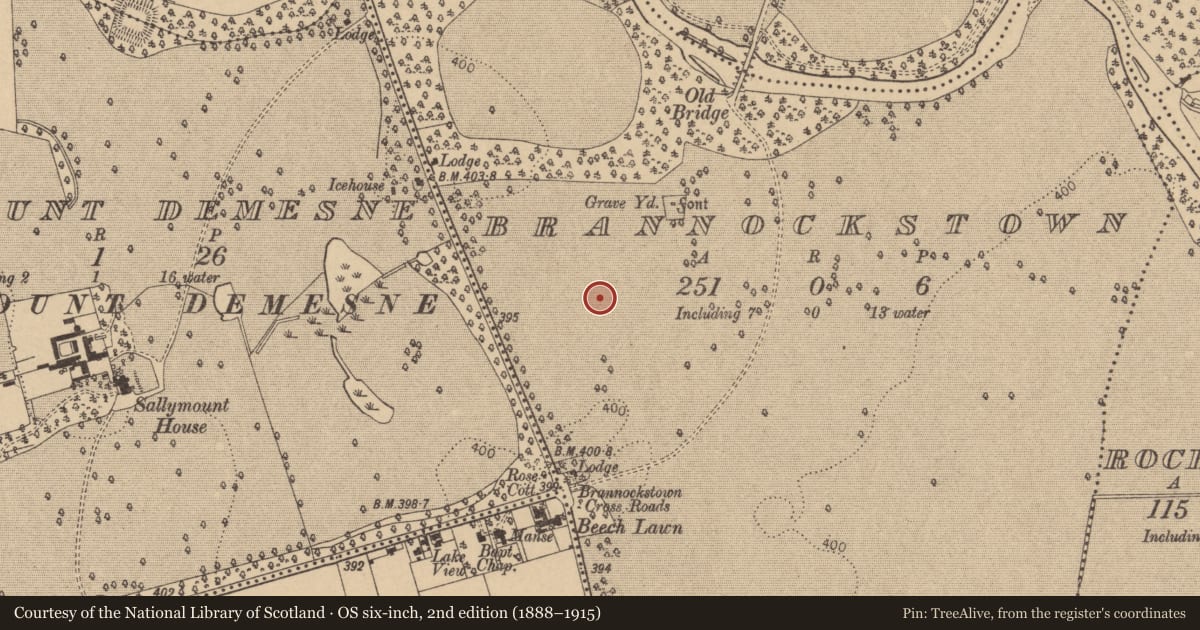 Ordnance Survey six-inch map, 2nd edition (1888–1915) covering the location of Ring-ditch, Brannockstown, County Kildare, with a pin at the register's coordinates