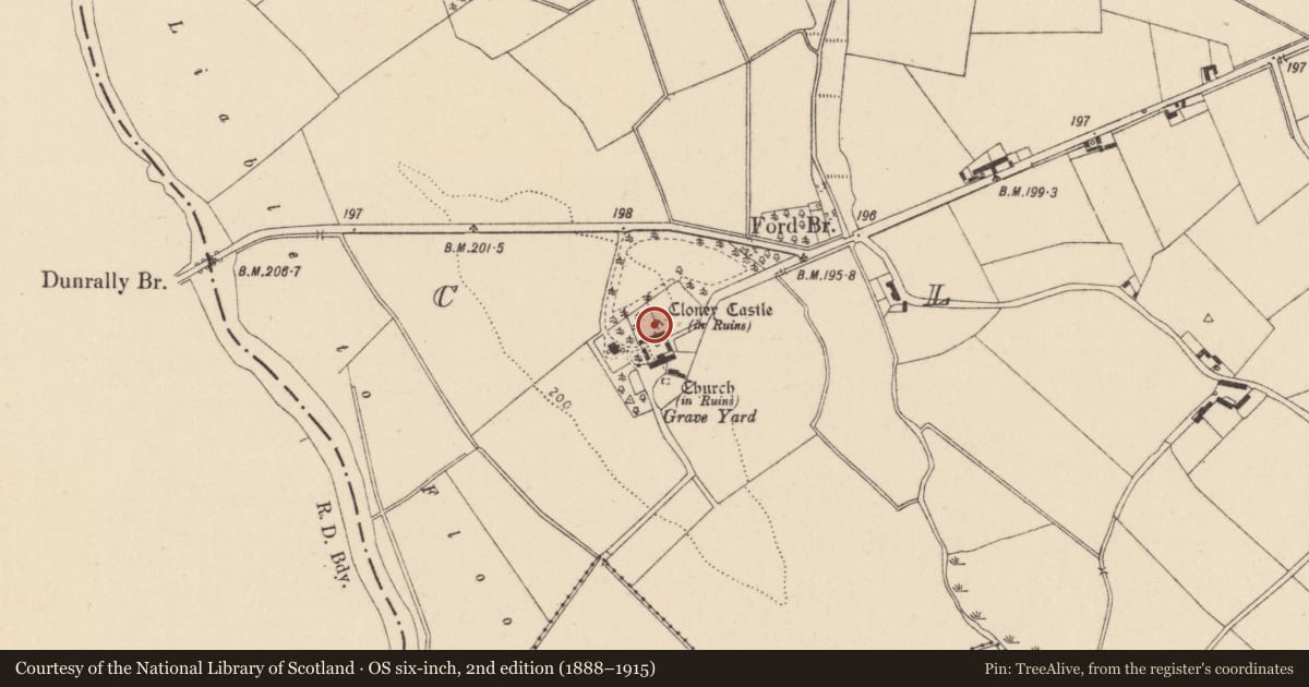 Ordnance Survey six-inch map, 2nd edition (1888–1915) covering the location of Castle - unclassified, Cloney, County Kildare, with a pin at the register's coordinates