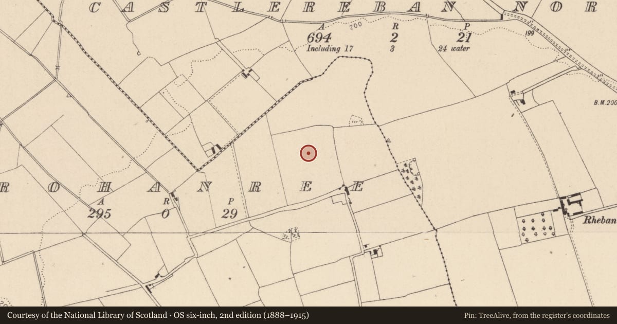 Ordnance Survey six-inch map, 2nd edition (1888–1915) covering the location of Enclosure, Crohanree, County Kildare, with a pin at the register's coordinates