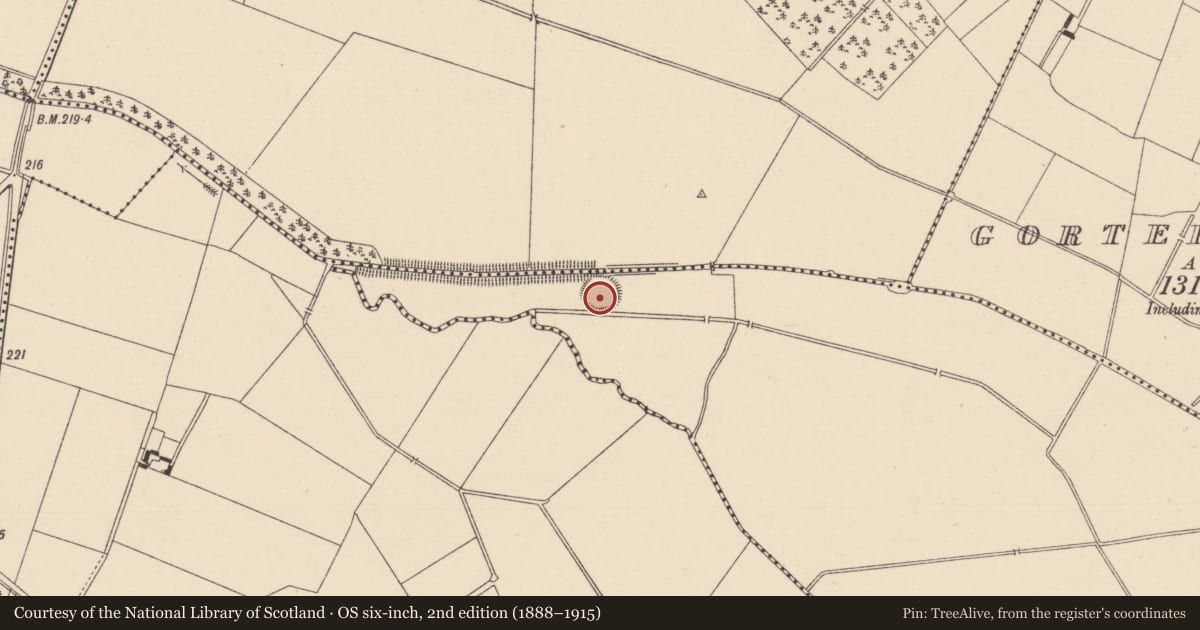 Ordnance Survey six-inch map, 2nd edition (1888–1915) covering the location of Ringfort - rath, Derrynine, County Kildare, with a pin at the register's coordinates
