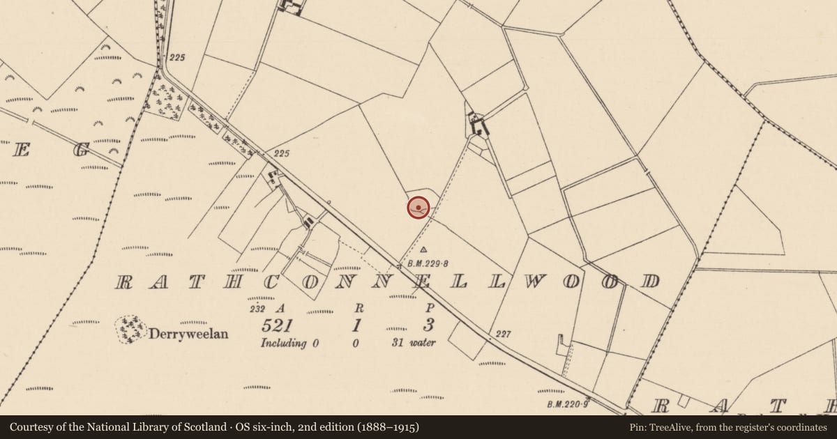 Ordnance Survey six-inch map, 2nd edition (1888–1915) covering the location of Enclosure, Rathconnellwood, County Kildare, with a pin at the register's coordinates