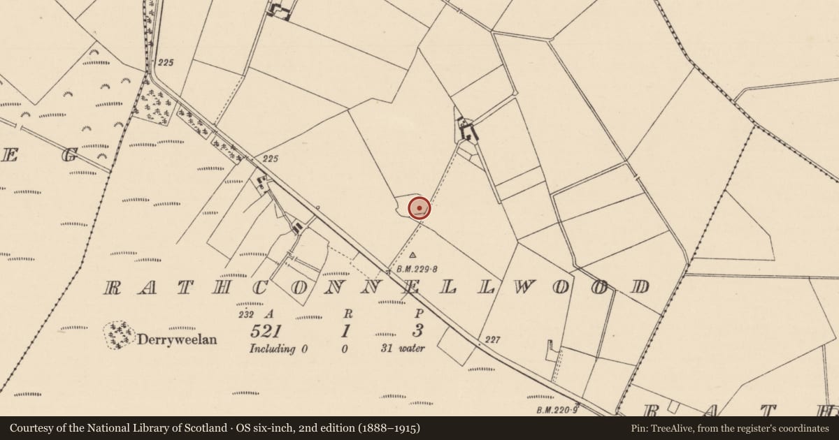 Ordnance Survey six-inch map, 2nd edition (1888–1915) covering the location of Enclosure, Rathconnellwood, County Kildare, with a pin at the register's coordinates