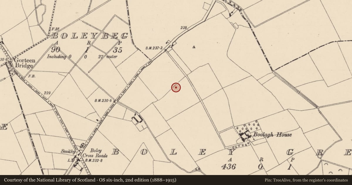 Ordnance Survey six-inch map, 2nd edition (1888–1915) covering the location of Enclosure, Boley Great, County Kildare, with a pin at the register's coordinates