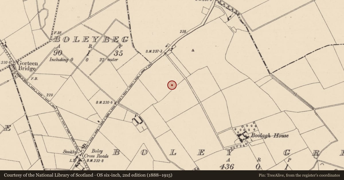 Ordnance Survey six-inch map, 2nd edition (1888–1915) covering the location of Enclosure, Boley Great, County Kildare, with a pin at the register's coordinates